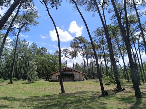 Comme un goût de vacances