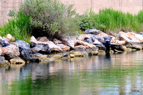 Jeux de reflets sur l’eau !