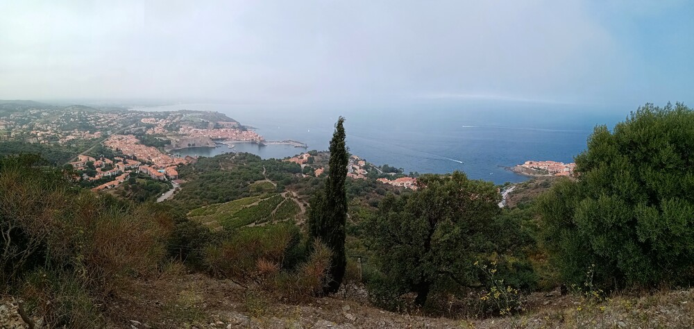 Collioure - Pyrénées orientales 