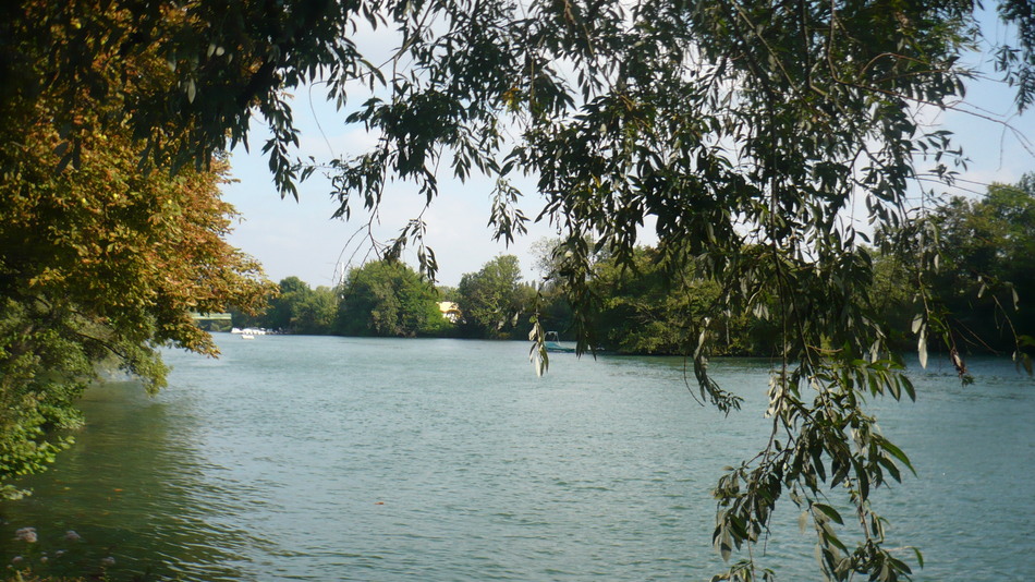 bords de marne.