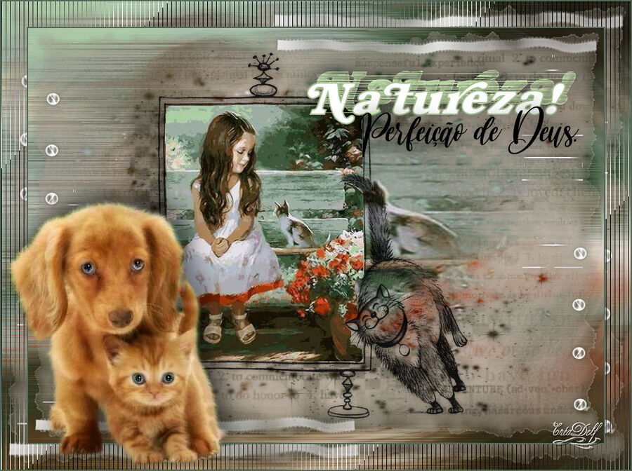 Natureza