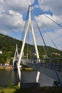 Allemagne - Vallée du Neckar - été 2014