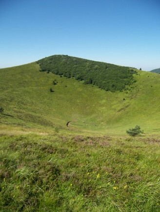 Auvergne