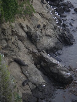 5: Moeraki