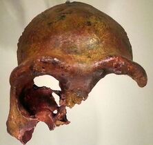 7- Fin du Pléistocène (-126 ka) :  Les Hommes Anatomiquement Modernes en Afrique