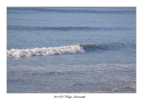 Fort Mahon Plage (80)