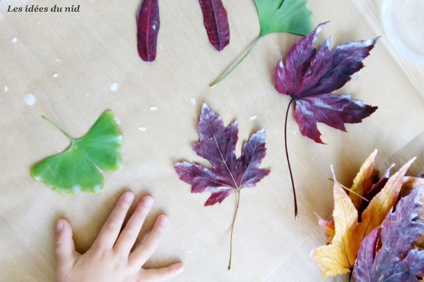 Activités d'automne