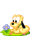 04 ~ Pluto / Dingo ♥