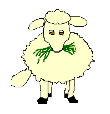mouton_032