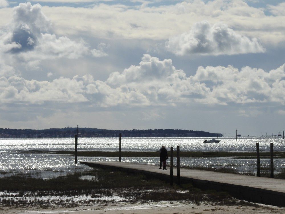 Balade au bord du Bassin d'Arcachon, juste avant l'averse...