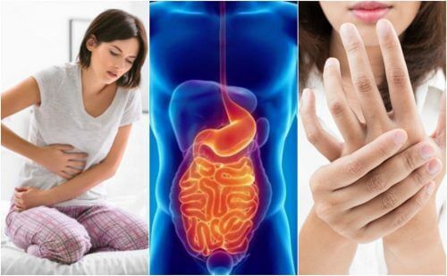 8 symptômes du syndrome de l’intestin perméable que vous ne devez pas ignorer