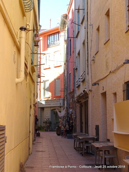 Collioure - Pyrénées Orientales - 