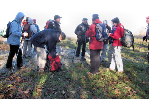 12 Décembre 2013 - Ratières 