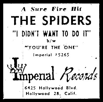 I hope spiders finds those who need it 🖤 #spiders #indiemusic #divor
