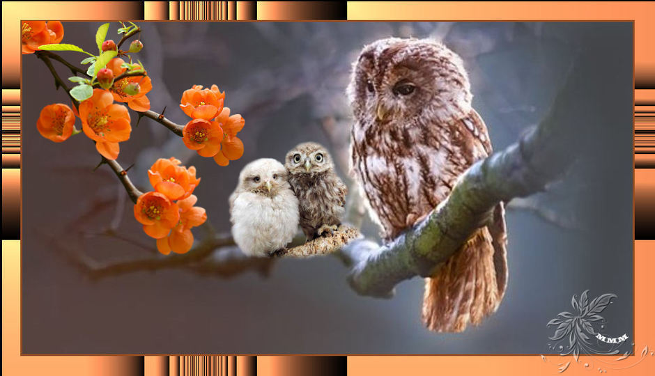 CAPAS-MMM-332-Owl-Free-Photo-on-Pixabay.jpg