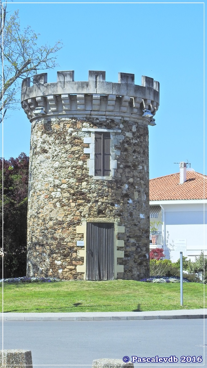 Du port ostréicole d'Andernos aux prés salés d'Arès - Mai 2016 - 2/9