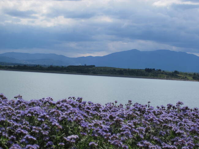Vacances perpignanaises : lac de Villeneuve de la Raho.