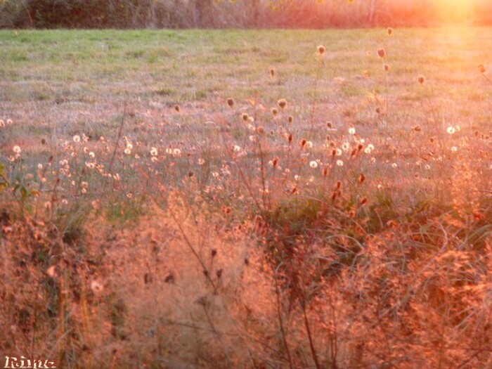 Couchers de soleil et aubes,