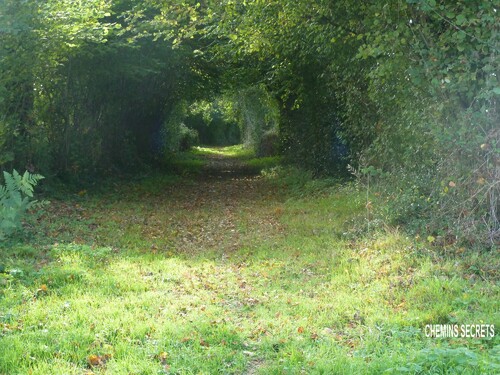 Le chemin de Bressuire à Fontenay (1)