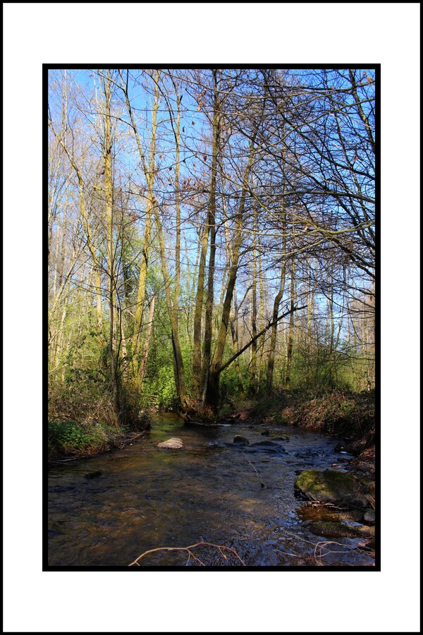 Sentier bordant la Moselle, Saint-Nabord - Vosges