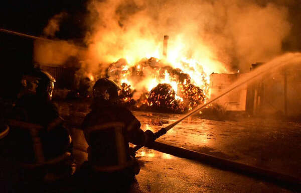 Nantes : Incendie dans un centre équestre, 80 chevaux sauvés des flammes