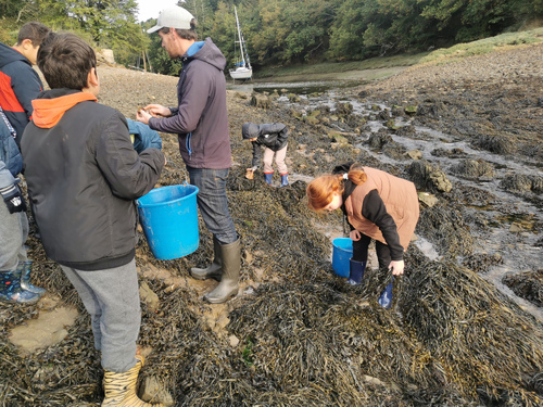 Jour 1 de la classe de mer à Moulin Mer