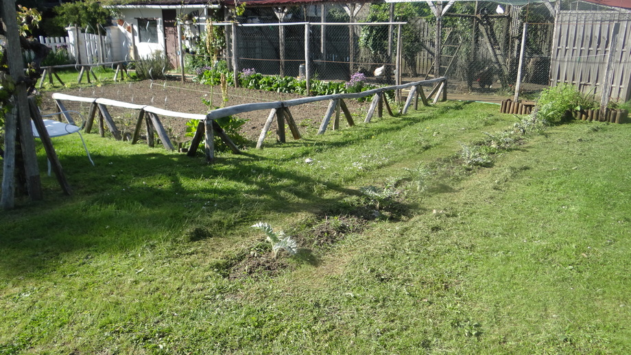 Le Long des Haies Champêtres (3)