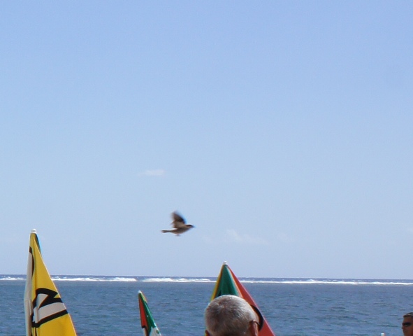 Kitesurf à la Saline (3/4) -