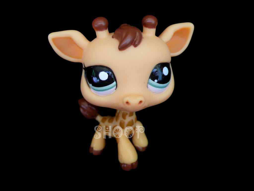 LPS 2049