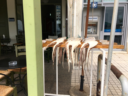 Néapoli - les poulpes attendent de passer au grill