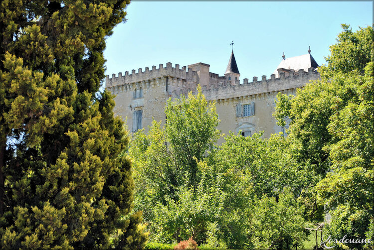 Parcs et jardins du Château de Vayres (Gironde)