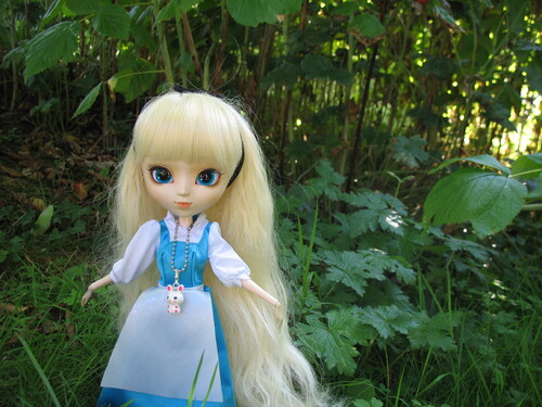 Séance photos : Alice dans le jardin