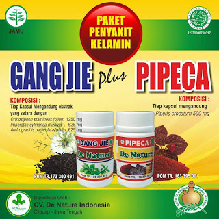 Obat Herbal untuk penyakit Kencing Nanah Di Apotik umum