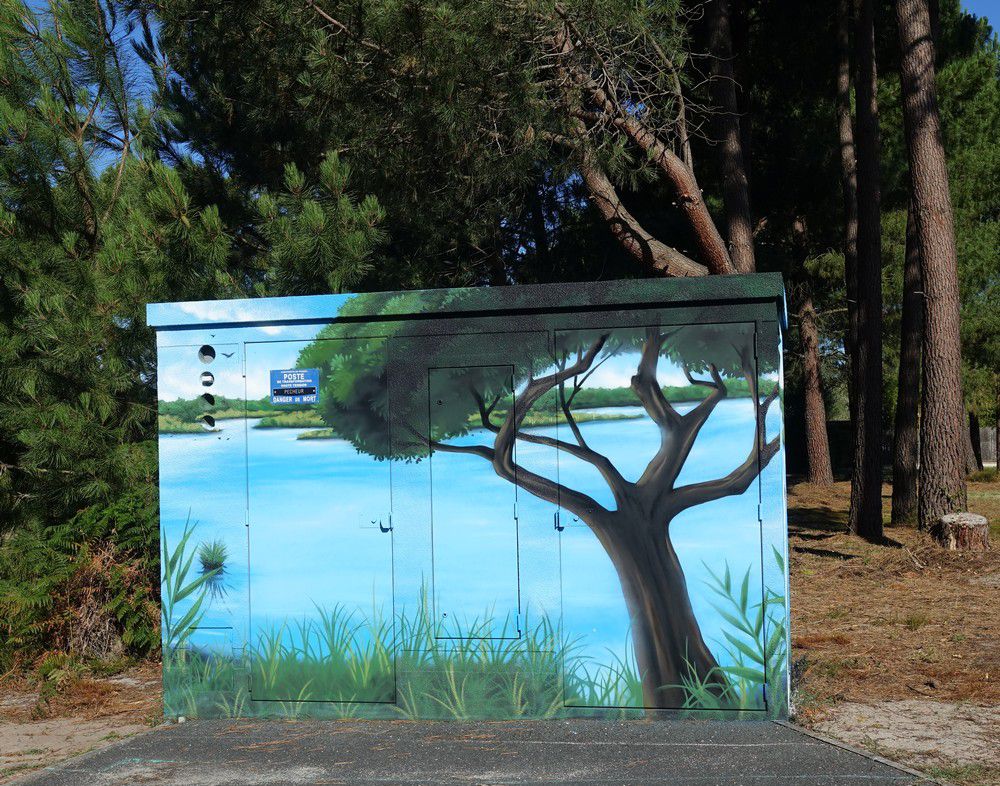 Street-art dans la ville : la réserve des Prés Salés, aigrette et héron...