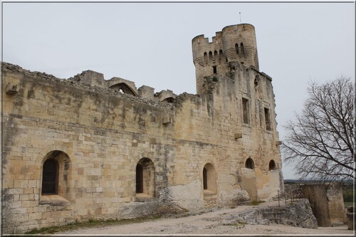 Abbaye de Montmajour Tour Pons de l'Orme,ruines des bâtiments médiévaux