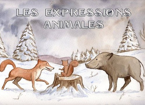LES-EXPRESSIONS-ANIMALES.jpg