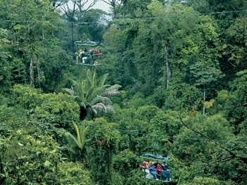 aerial_tram_caribbean_rain_forest_tour_picture_27b