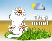 blinkie, gif animés, Adorable Mignon Animaux 05