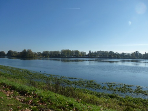 COULEURS D'AUTOMNE A BEAUGENCY