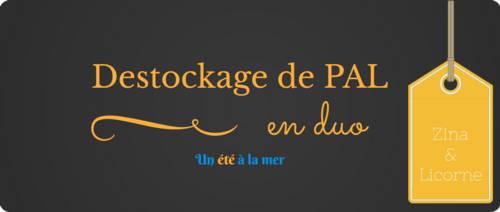 Challenge "Destockage de PAL en duo" organisé par Zina et Licorne #mission 3