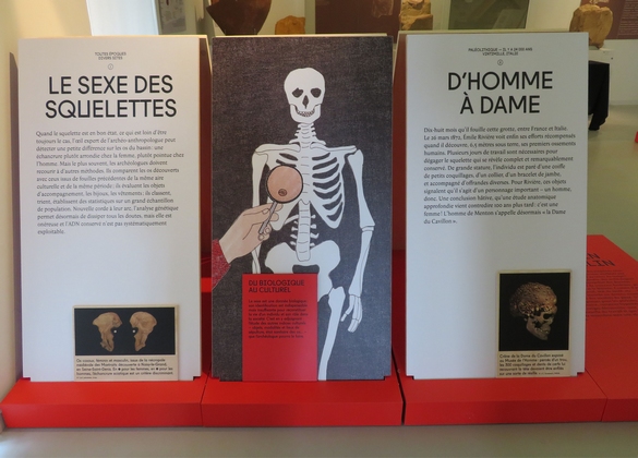 Deux superbes expositions ont lieu actuellement au Musée du Pays Châtillonnais