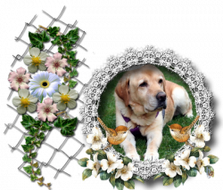 Hommage Chipie