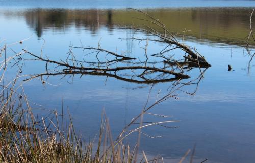 Baraqueville : les reflets du lac