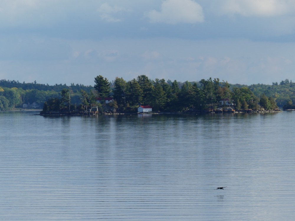 Croisière sur le Saint-Laurent, dans le Parc Naturel des Mille Iles au Canada...