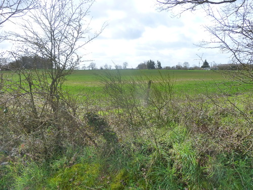 Où est la fosse commune de Saint-Aubin-du-Plain ?