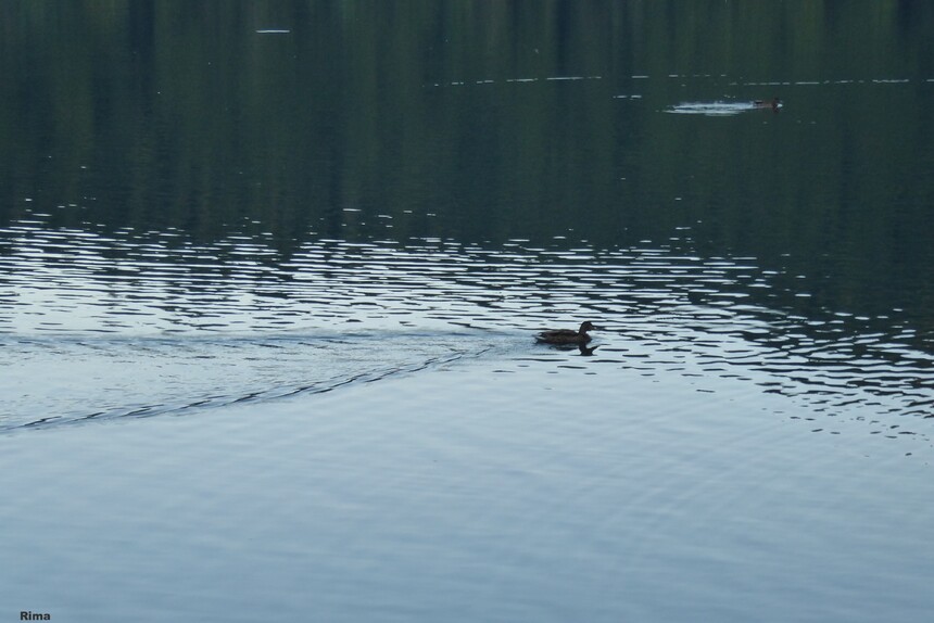 Lac Pavin