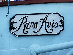 08-08-10 RARA AVIS 005