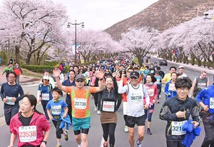 season cherry blossoms runners running 