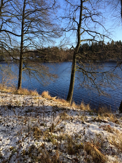   Lite bilder  från en solig runda a 7km,,