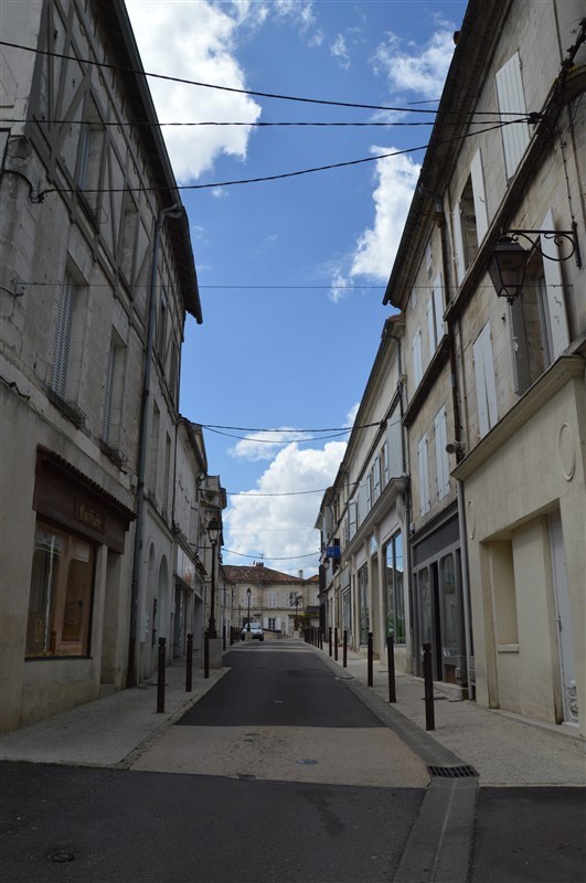 Blog de sylviebernard-art-bouteville : sylviebernard-art-bouteville, Châteauneuf-sur-Charente - CARTES POSTALES